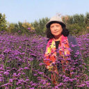 Song Wenqin
