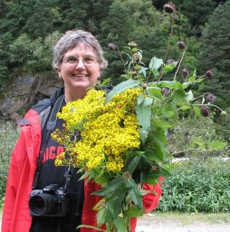 Vicki A. Funk