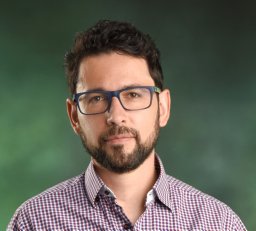 Cuadros Diego F