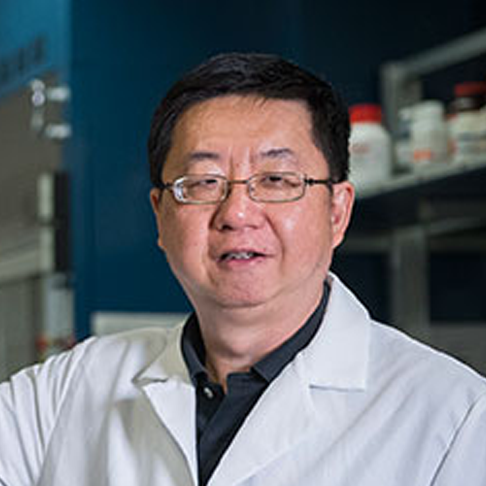 Kang Xu