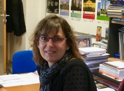 M. L. Sarsa