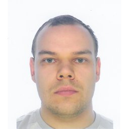 D. N. Gabyshev