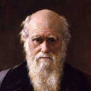Roman Novakovskiy