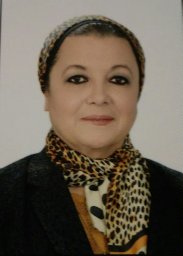 Magda N. A. Nasr