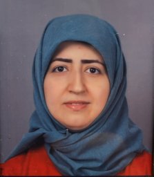 Hanieh Aliakbari