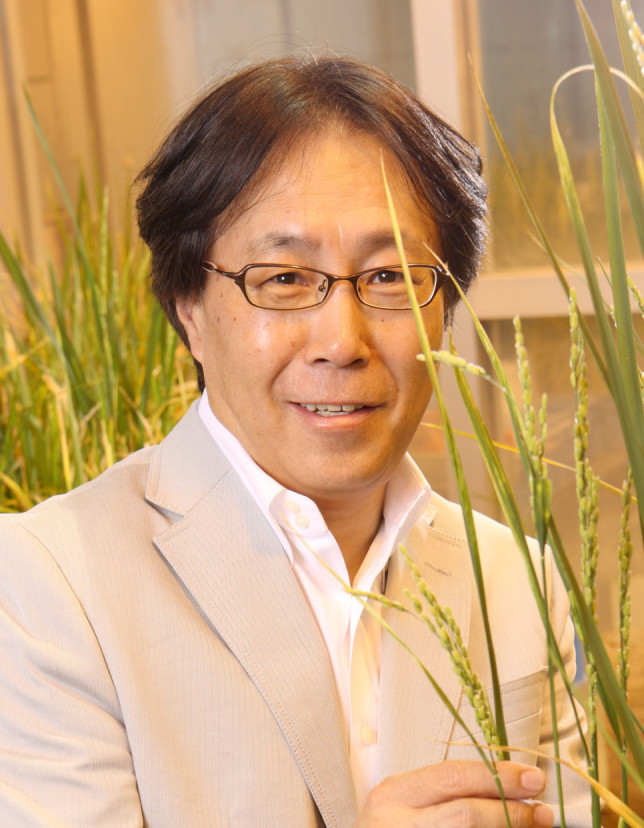 Ko Shimamoto
