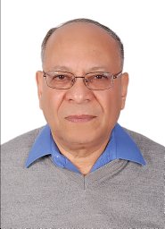 Magid H. Amer