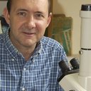 Michael R Wilson