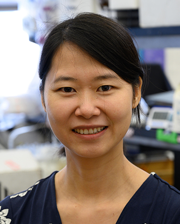 Huaiying Zhang