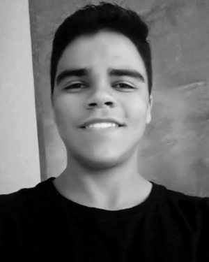 Lucas F. S. Duarte