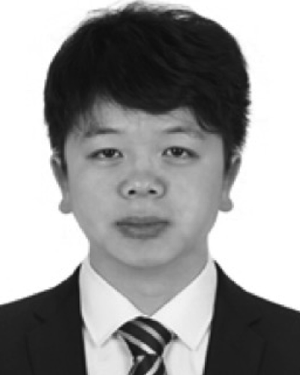 Shufei Li