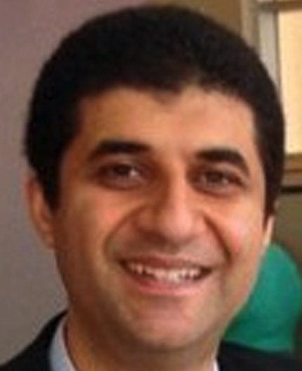 Hossam A. Abdelsamed