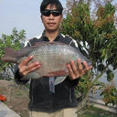 Nguyen Thinh