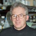 József Burgyán