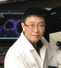 Dale D. Tang