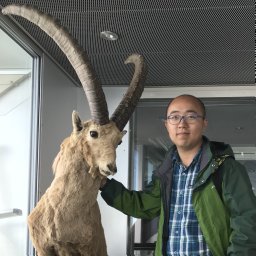 Hongbo Liu