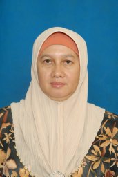 Dian Fiantis