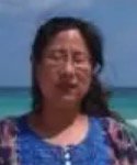 Yulin Mei
