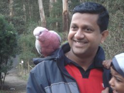 Dhammika De Silva