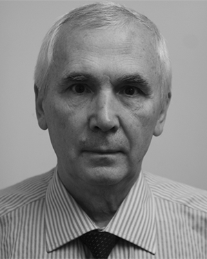 V. A. Kozlov