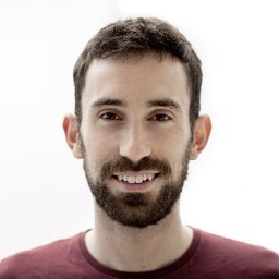 Daniel Domingo-Fernández