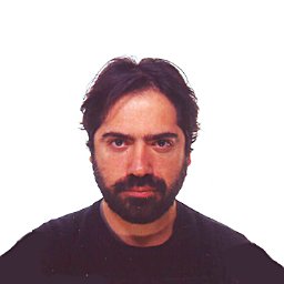 Andrea Falegnami