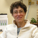 Rima Menassa