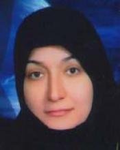 Hamideh Shakeripour