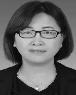 Li Li