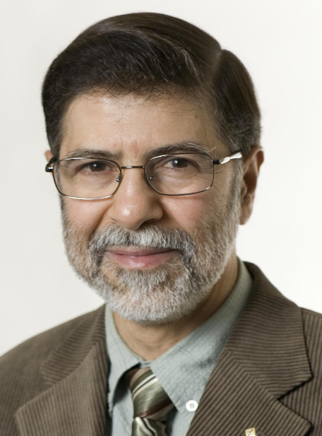 Hussein Mouftah