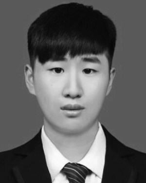 Zhuang Qi