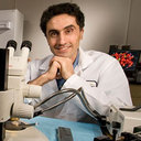 Mohammad Haeri