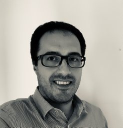 Flavio Pendolino