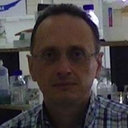 Sotiris Tjamos