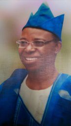 Adesoji A. Fasanmade