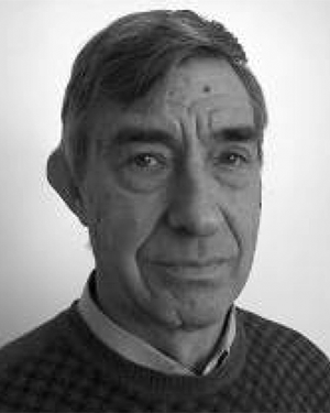 Vladimir M Andreev