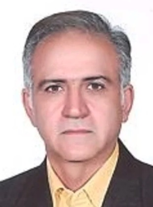 Mohammad Reza Shirzadi