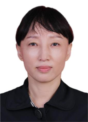 Limin Wen