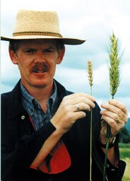 Maarten van Ginkel