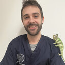 Alessandro Vetere