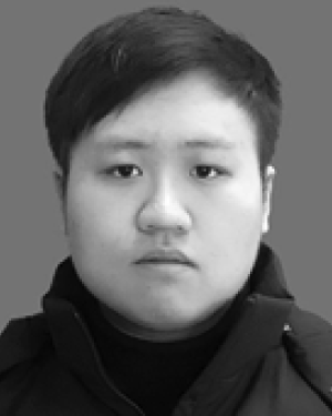 Henan Hao