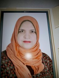 N. Saleh