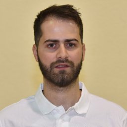 Peter Bartik