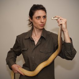 Christina N. Zdenek