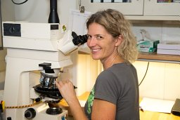 Denise K. Kulhanek