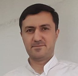 Mahdi Nili-Ahmadabadi