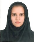 Somayeh Mohammadi