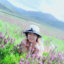 Hong Niu