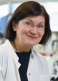 Riitta Veijola