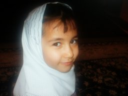Fereshte Adib Saberi